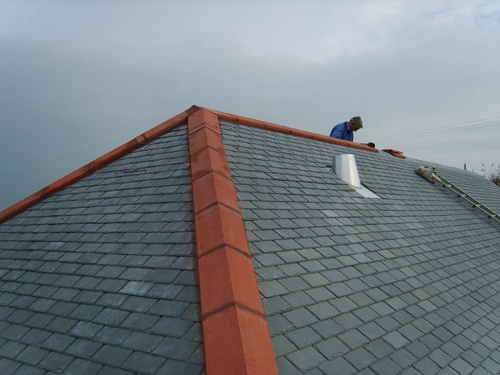 8 Roof Windows & Doors (49)